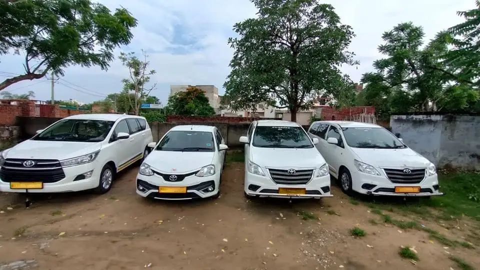 116876906-1560532664129109-2320678815948377593-n